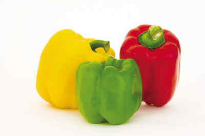 10��ʳ���ܵ���Ʒ��Ӫ���뽡����
