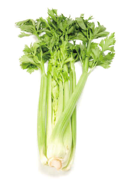 10��ʳ���ܵ���Ʒ��Ӫ���뽡����
