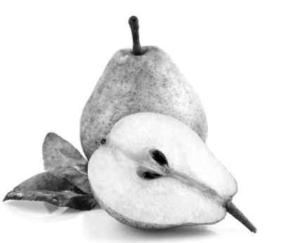 Ѽ��Ӵ� ������Ŀ
