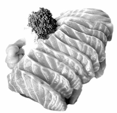 ���������
