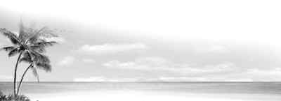 С����󣬷�ס��ǻ����
