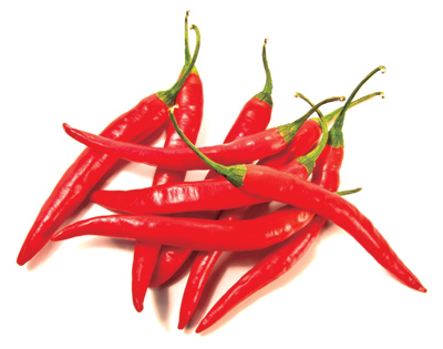 13��ʳ���������
