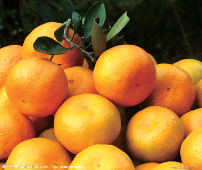 13��ʳ���������
