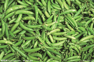 13��ʳ���������
