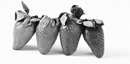 ������ҽѧ�·��֡�