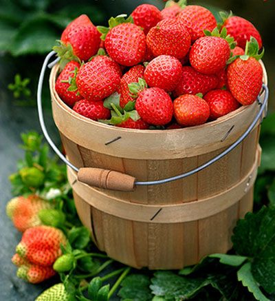 伤胃习惯大排行 不怕胃癌就试