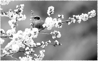 ����ѧϰ������