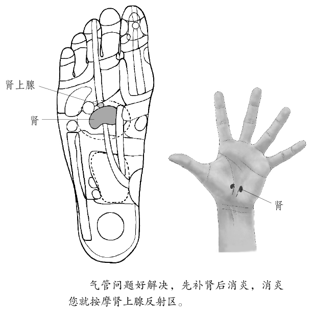 �β���ǿ��