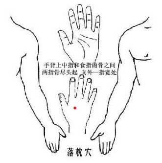 ������������ҽ����������������