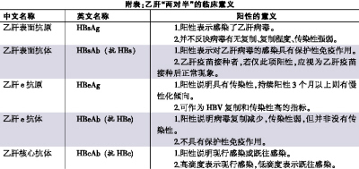 ����ҸΡ����԰롱