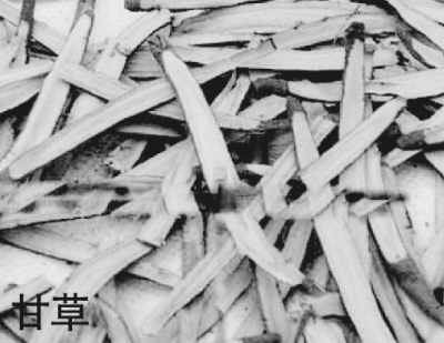 ���ơ���θ�������ٻ�ԩ��Ǯ