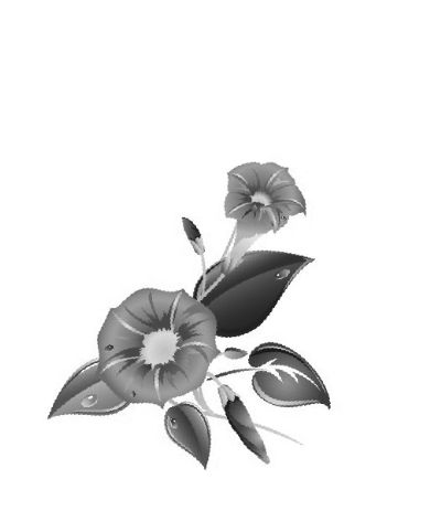 ��������<BR/>���ӡ����ҡ�