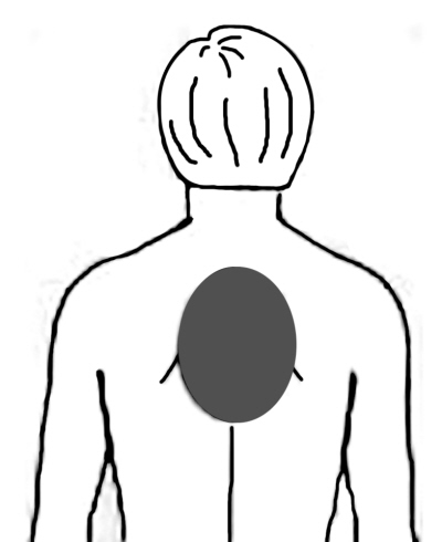 �Ĺ�����������λ