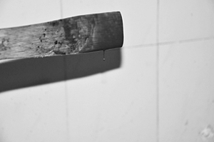 �෽����������