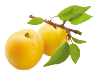 ����Ʒ��ʳ�������ֺ�ζ