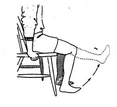 ϥ�ؽ������Թǹؽ��׷���