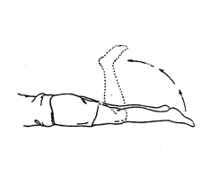 ϥ�ؽ������Թǹؽ��׷���