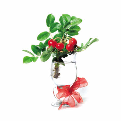 ����35���Ӧ��עǰ���ٽ���