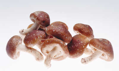 ���������ʵ�Ģ��