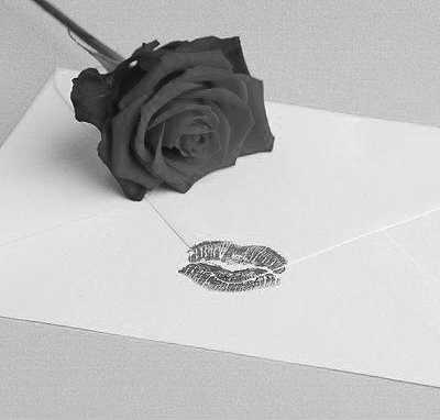 �Ŀ���������������(��������)