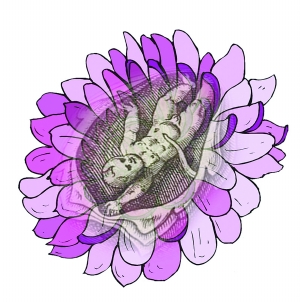 ̥���������вĸ������