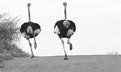 ��������ѧ�ܲ�