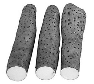 ��Ѫ���˳�����ʳ��