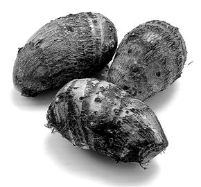 ��Ѫ���˳�����ʳ��