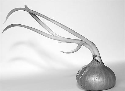 ��Ѫ���˳�����ʳ��