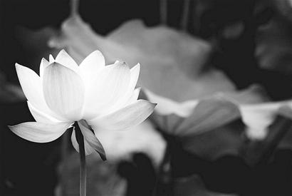 ��������Ī����Ҹ�