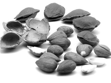 ά����B17���ǡ�������ҩ��