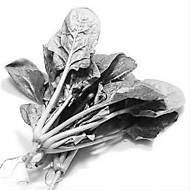 ��������߾��ӻ���