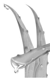 ʹ�� �������С�鷽