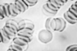 �����۾� ʶ����Ʒһе���г�����ƭ��