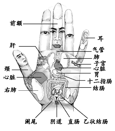 ���еĽ�������