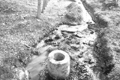 山东昌乐“火碱河”毁了百亩鱼塘(流泪的母亲河5)