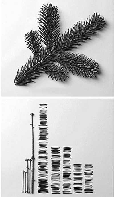 ��ǿ��֢������Ӳ��(��������)