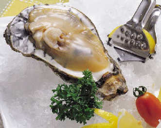 【转载】老中医教你关注下半身