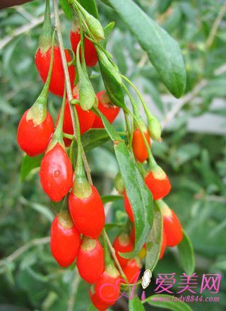 ������轺ô��� ������ô����轸�����