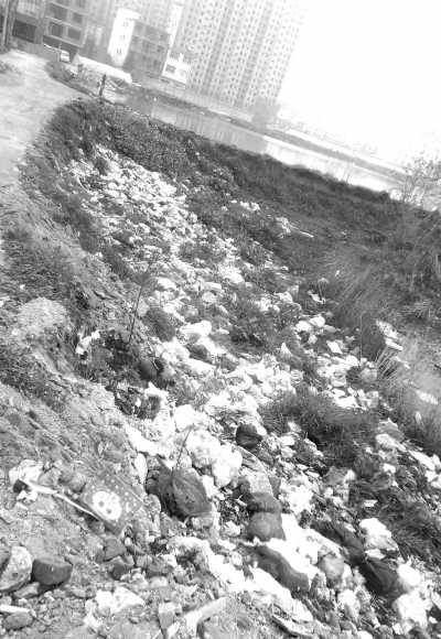 �����̳ǡ�����Ʈ���������ζ(��Ⱦ�ļ�԰)