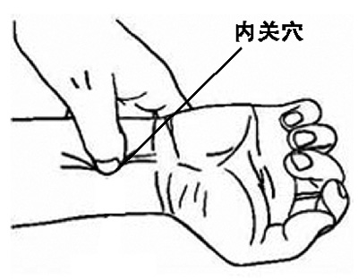 ˳�����ٵ�Ƣ������(ý������)