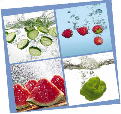 �ļ���ˮʳ�������