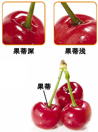 �������ӣ����