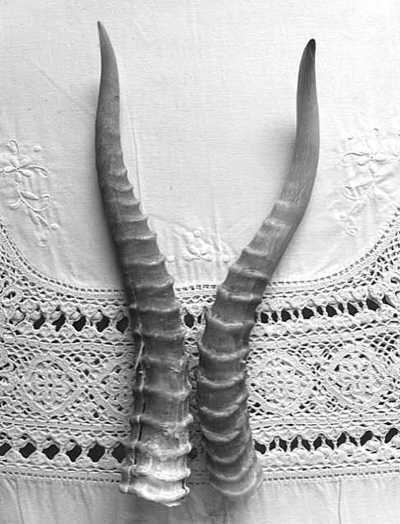 ����Ƿ���ˮ�˸���(Сƫ��)