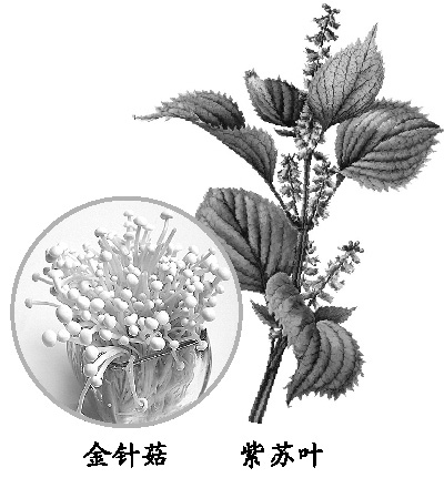 һ��һҶ������