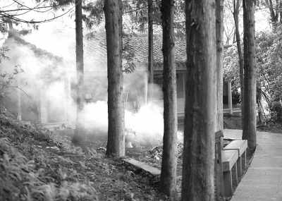 �żҽ羰������¶��������(��Ⱦ�ļ�԰)