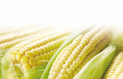 �����ֱ���������Ӫ��