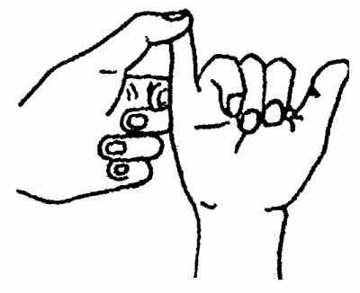 ��Сָ�������ϻ���