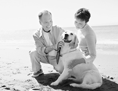 ��������㻤��(�����¹۵�)