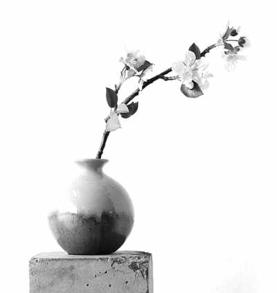 ��Ҳ������Ľ